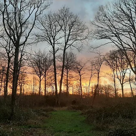 Βίλα Orangerie De La Touchardiere