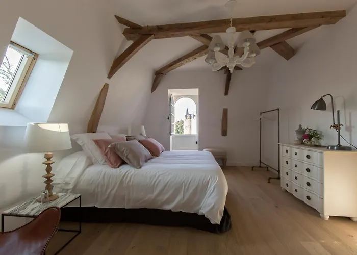 Orangerie De La Touchardiere Villa Durtal