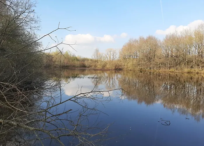 Villa Orangerie De La Touchardiere Durtal
