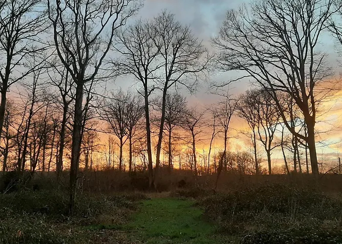 Villa Orangerie De La Touchardiere